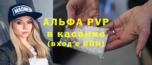 гидропоника Каменногорск