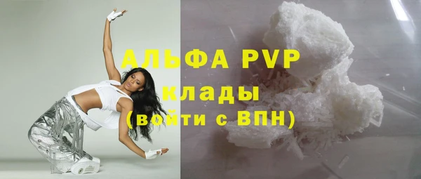 винт Каменка