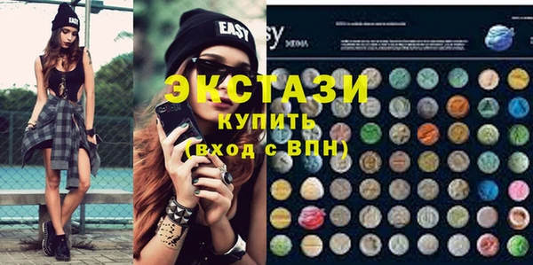 ECSTASY Инсар