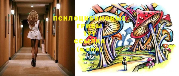 бошки Инта