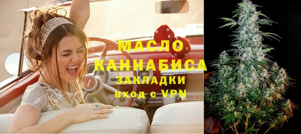 винт Каменка