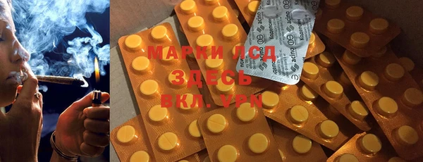бошки Инта